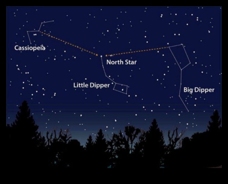 נווטים שמימיים הכוכבים והים 4 נווטים שמימיים: מדריכים את האנושות דרך מים בין כוכבים