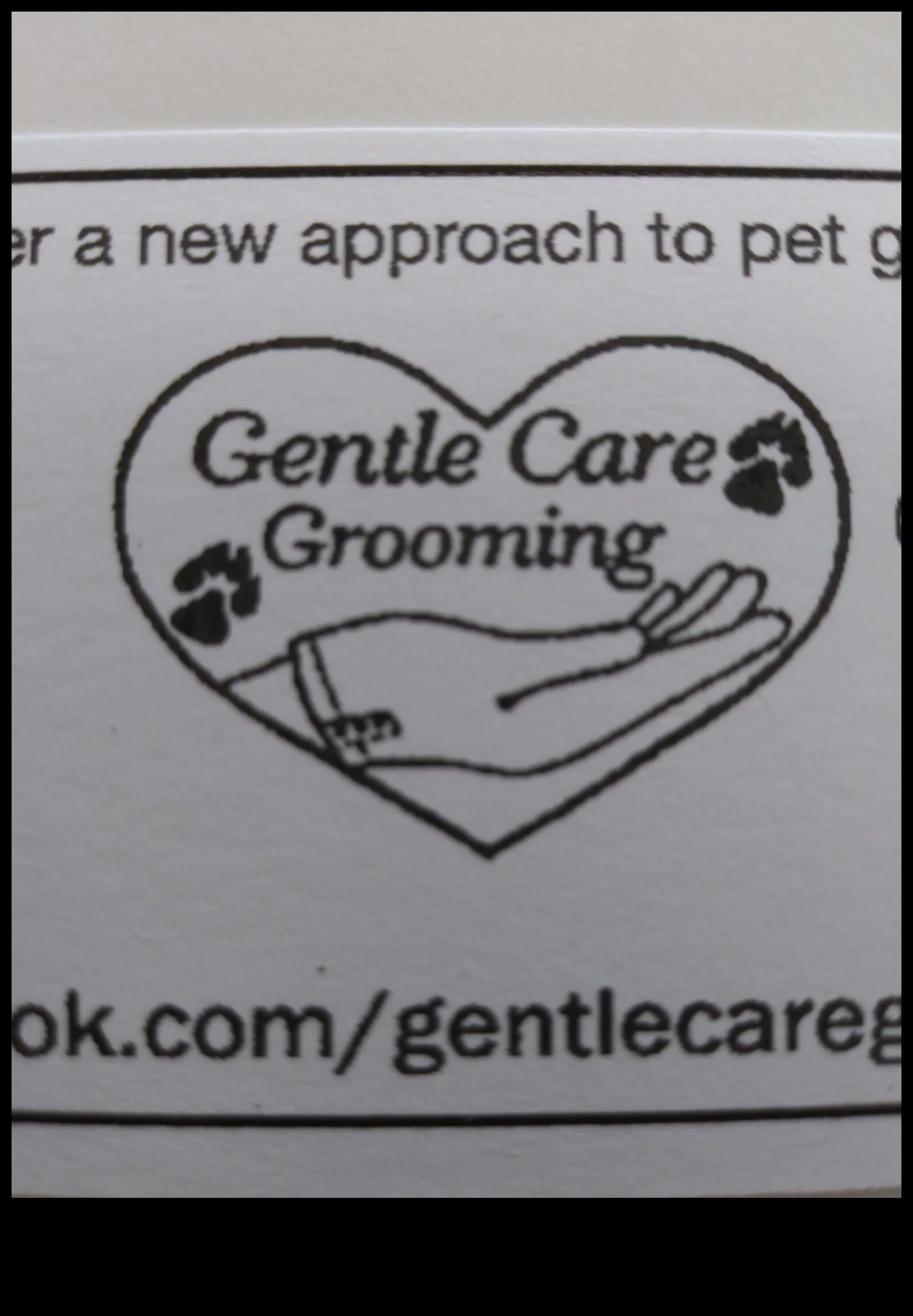 טיפוח עדין: טיפול אוהב עבור הקטן שלך