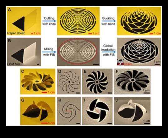 קיריגמי אמנות חיתוך נייר 3 הקסם של קיריגמי: קיפול וחיתוך עבור יצירות תלת מימד