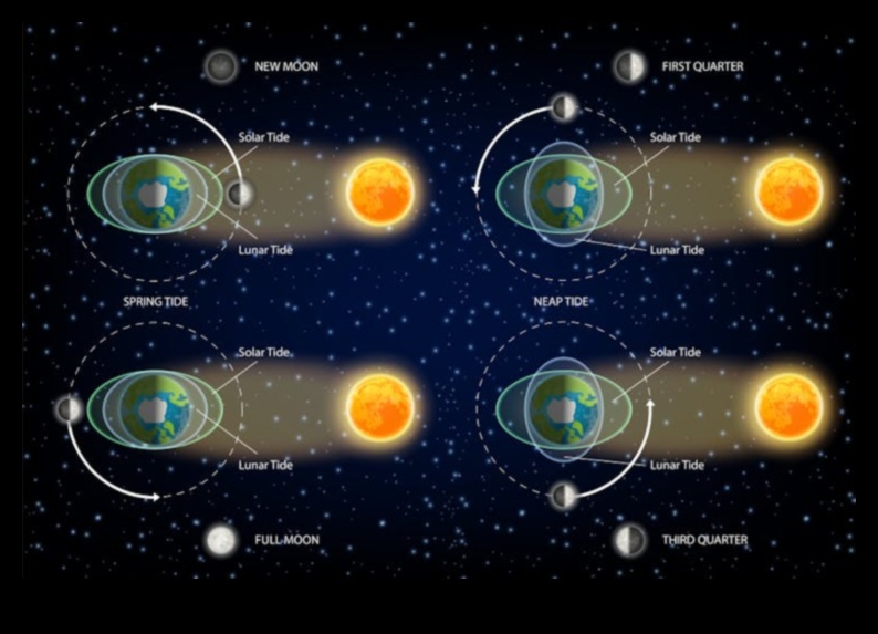 הסימפוניה של גרביטציה ריקוד כוכבי הלכת 3 הרמוניה כבידה: ריקודם של גופים שמימיים בחלל