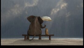 הפתעות מתוקות: מתן אהבה ואושר לכל ילד קטן