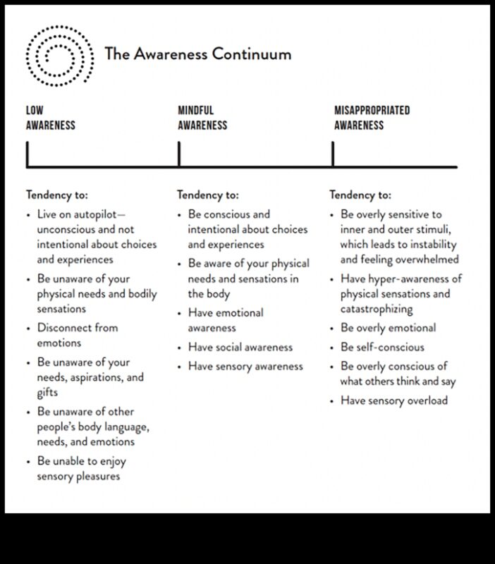 מומנטום מודע: בניית חיים המעוגנים במודעות הווה